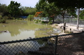 Enlarge photo 138