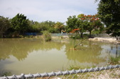 Enlarge photo 137
