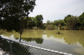 Enlarge photo 140