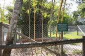 Enlarge photo 143