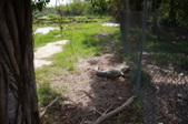 Enlarge photo 147