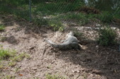 Enlarge photo 150