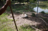 Enlarge photo 152