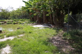 Enlarge photo 153