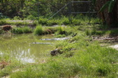 Enlarge photo 155