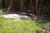 Enlarge photo 156