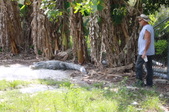 Enlarge photo 157