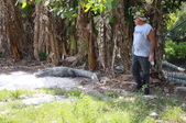 Enlarge photo 159