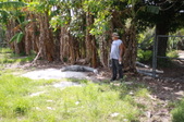 Enlarge photo 158