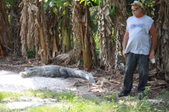 Enlarge photo 160
