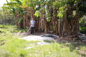 Enlarge photo 163