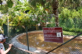 Enlarge photo 164