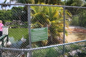 Enlarge photo 165