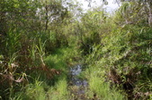 Enlarge photo 167