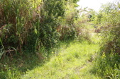 Enlarge photo 169