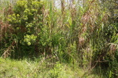 Enlarge photo 170