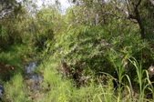Enlarge photo 174