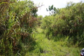 Enlarge photo 172