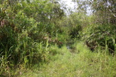 Enlarge photo 173