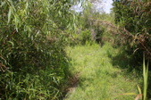 Enlarge photo 175