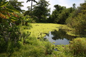 Enlarge photo 177