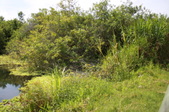 Enlarge photo 180