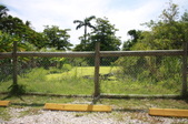 Enlarge photo 178