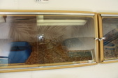 Enlarge photo 188