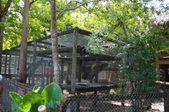 Enlarge photo 203