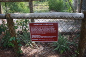 Enlarge photo 207
