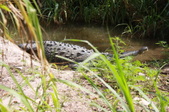Enlarge photo 213
