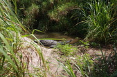 Enlarge photo 214