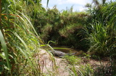 Enlarge photo 217