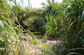 Enlarge photo 216