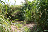 Enlarge photo 218
