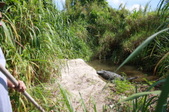 Enlarge photo 220