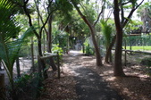 Enlarge photo 225