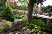 Enlarge photo 227