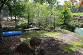 Enlarge photo 229