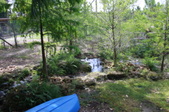 Enlarge photo 231