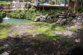 Enlarge photo 232