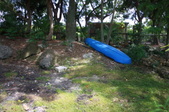 Enlarge photo 236