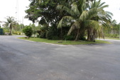Enlarge photo 239