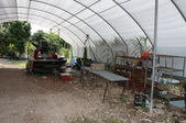 Enlarge photo 249
