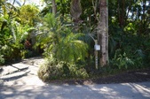 Lanai 2/4/13