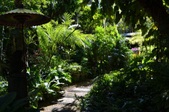 Enlarge photo 30