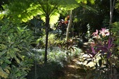Enlarge photo 31