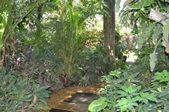 Enlarge photo 34