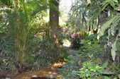 Enlarge photo 33