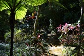 Enlarge photo 35